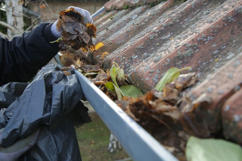 Gutter Maintenance in Fall